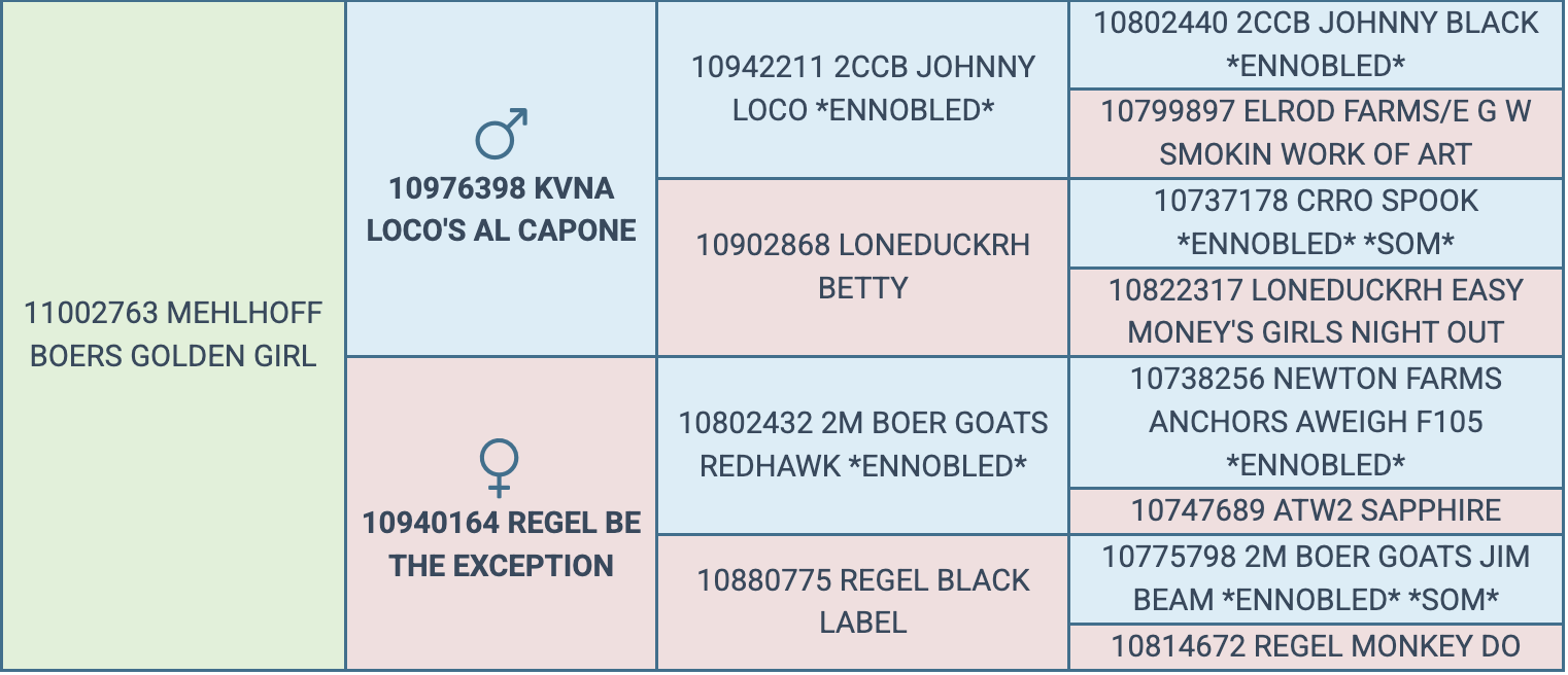 Screenshot 2026-03-23 at 9.35.29 AM