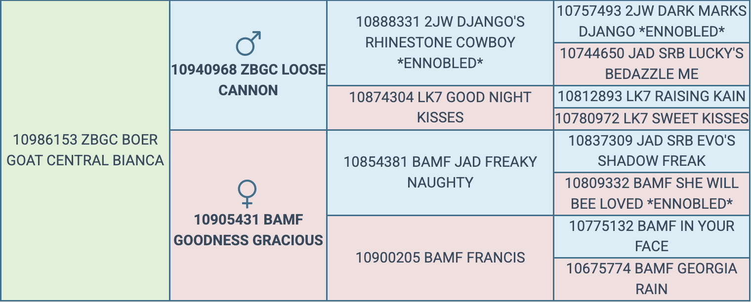 Screenshot 2026-03-24 at 4.25.50 PM