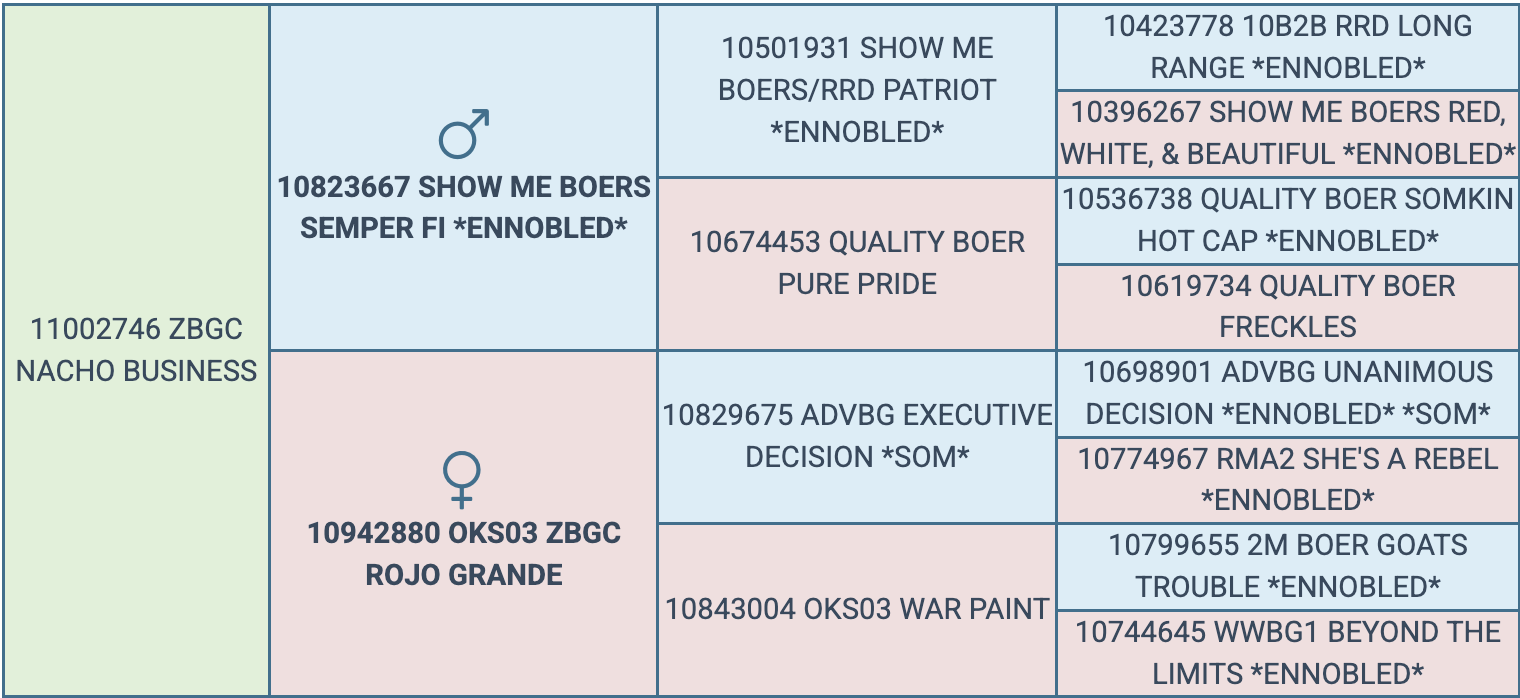 Screenshot 2026-03-24 at 4.28.58 PM