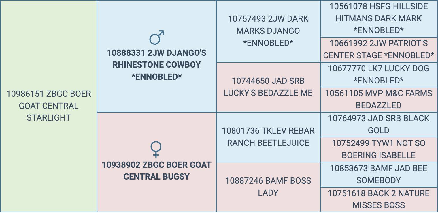 Screenshot 2026-03-24 at 4.31.57 PM