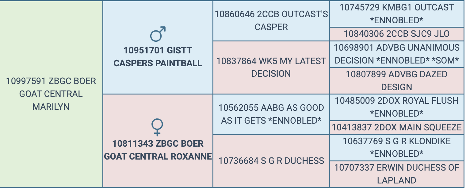 Screenshot 2026-03-24 at 4.35.09 PM