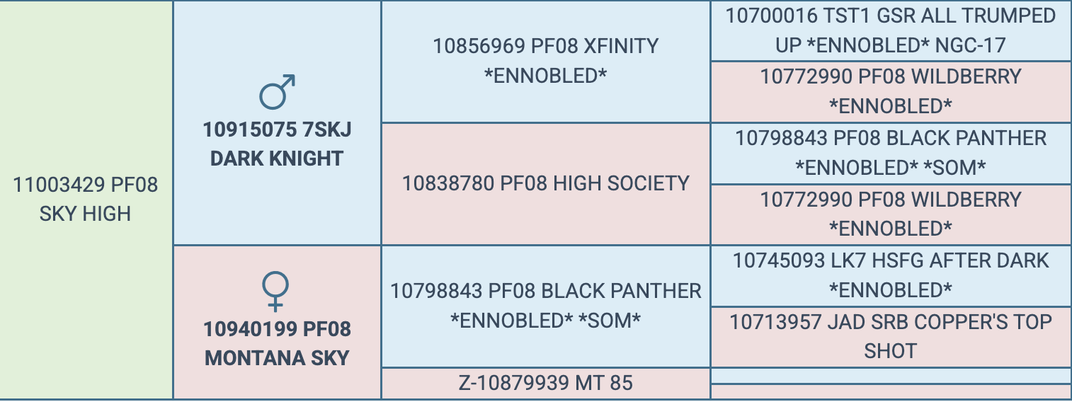 Screenshot 2026-03-24 at 4.54.18 PM