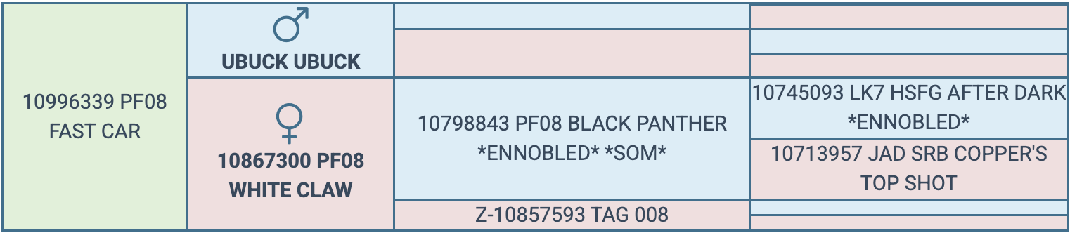 Screenshot 2026-03-24 at 4.56.57 PM