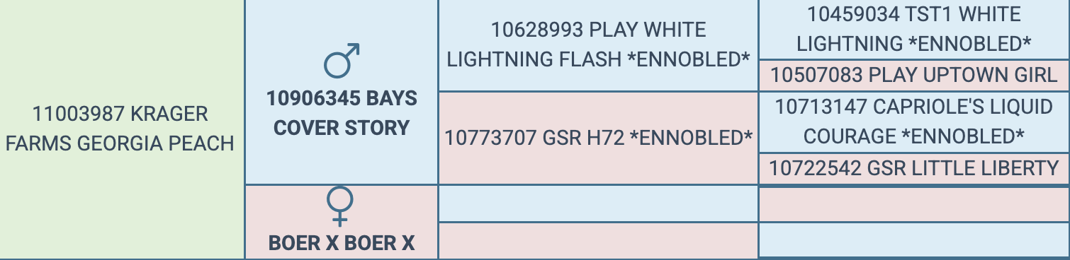 Screenshot 2026-03-24 at 5.02.48 PM