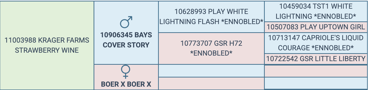 Screenshot 2026-03-24 at 5.05.20 PM