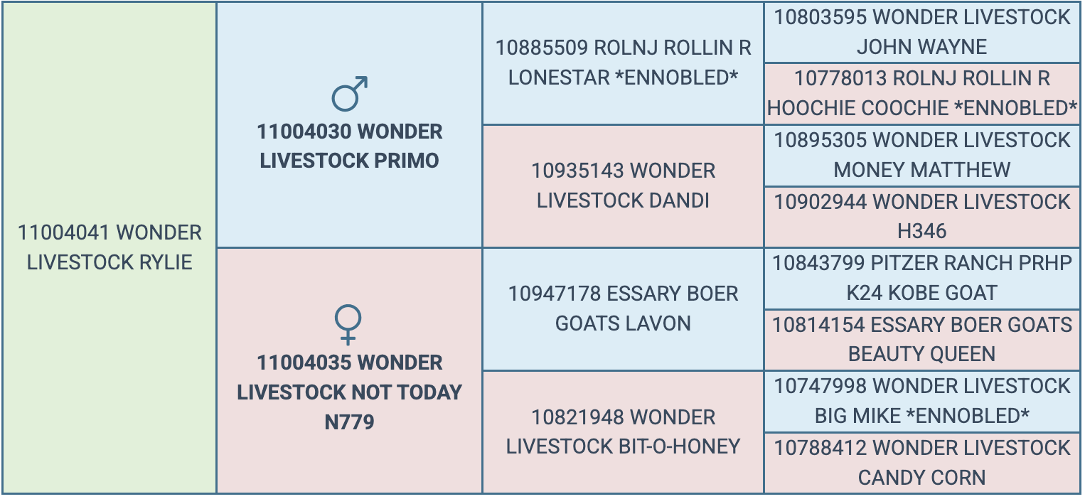 Screenshot 2026-03-24 at 8.01.34 AM