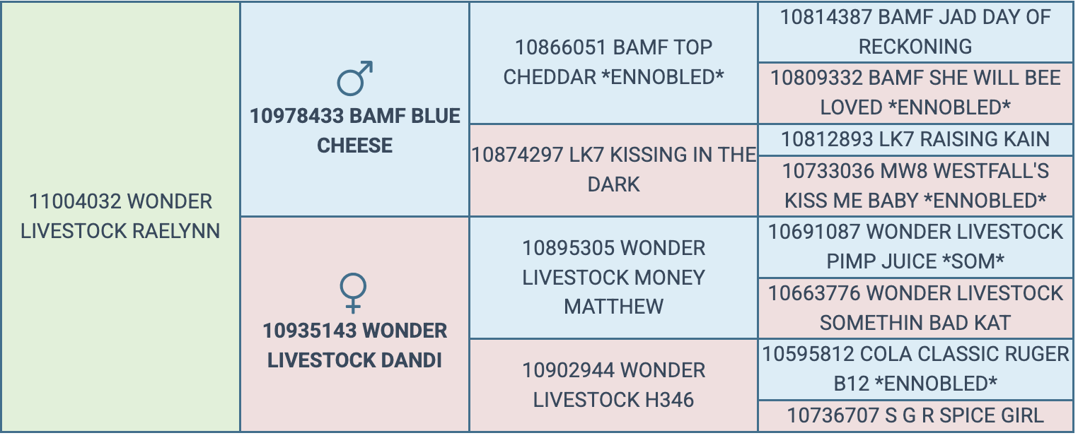 Screenshot 2026-03-24 at 8.06.41 AM