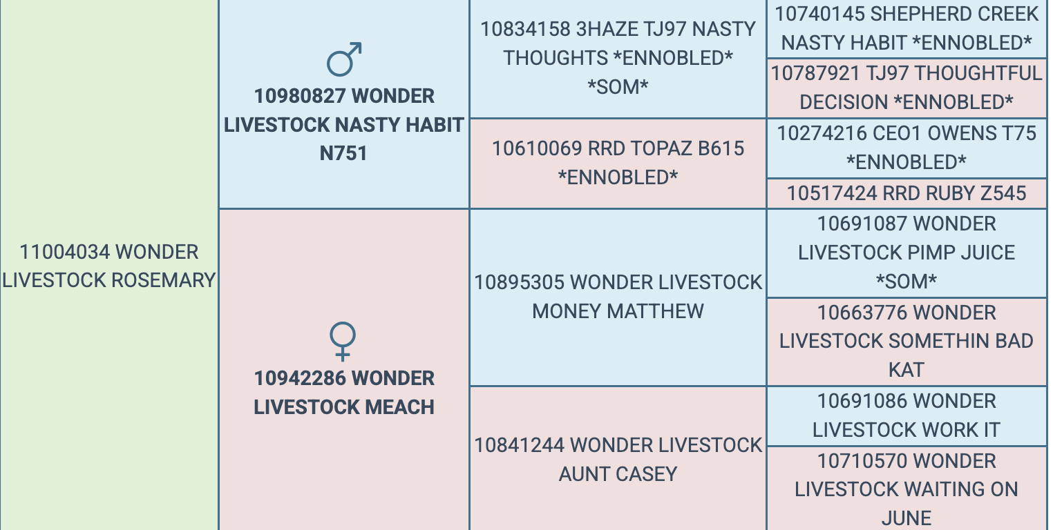 Screenshot 2026-03-24 at 8.11.30 AM