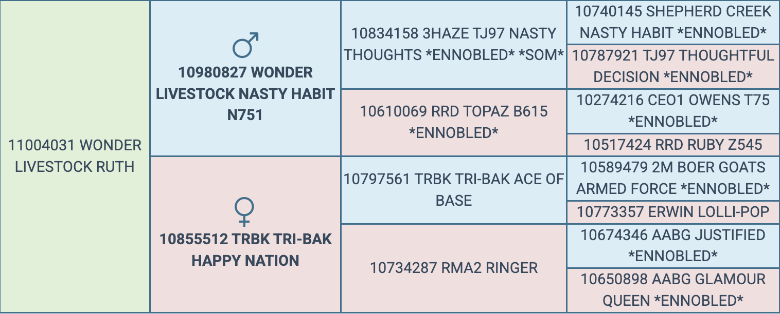 Screenshot 2026-03-24 at 8.16.22 AM