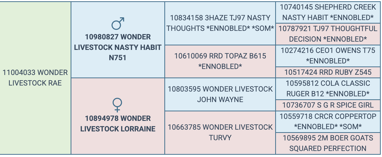 Screenshot 2026-03-24 at 8.20.43 AM