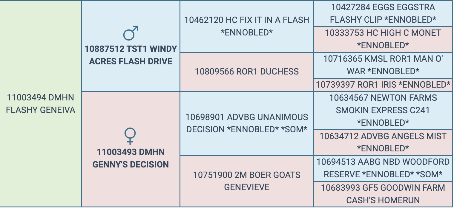 Screenshot 2026-03-24 at 8.28.06 AM