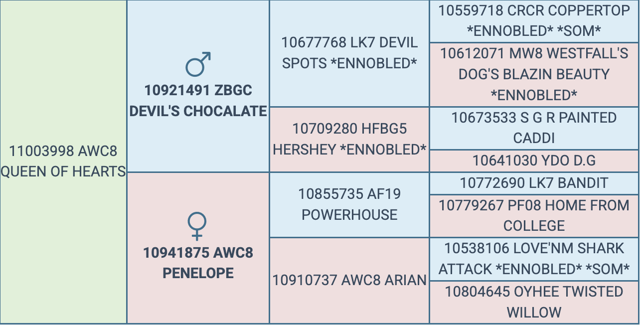 Screenshot 2026-03-24 at 8.28.09 PM