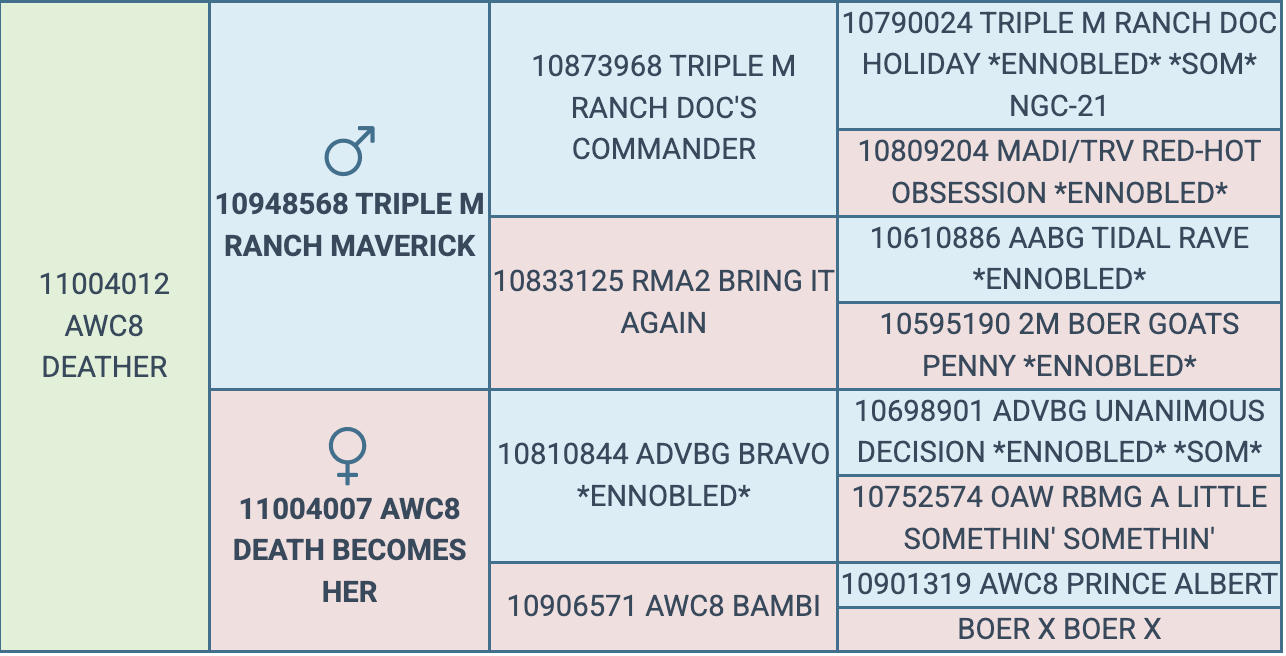 Screenshot 2026-03-24 at 8.32.06 PM