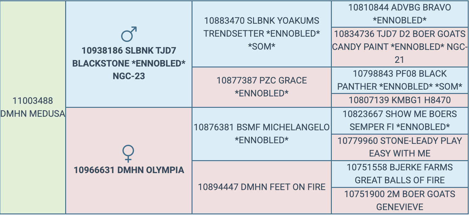 Screenshot 2026-03-24 at 8.34.01 AM