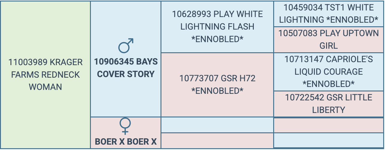 Screenshot 2026-03-24 at 8.35.19 PM