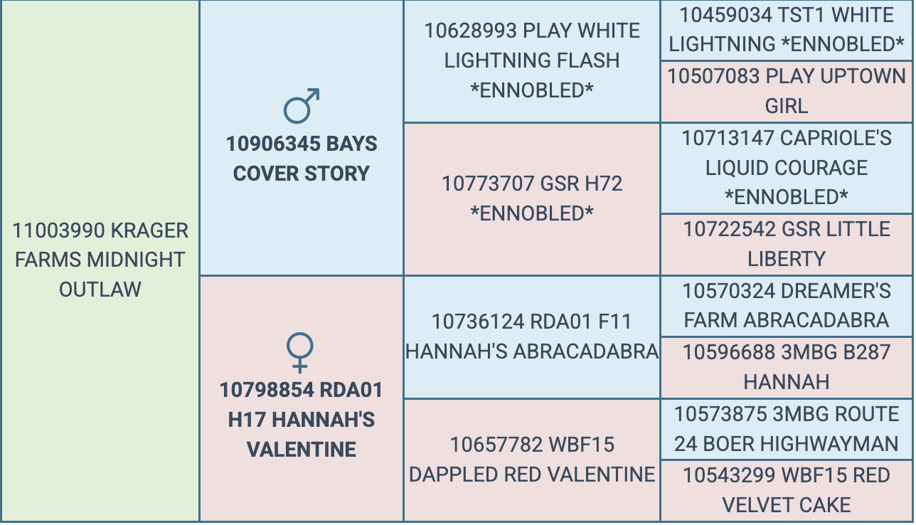 Screenshot 2026-03-24 at 8.37.42 PM