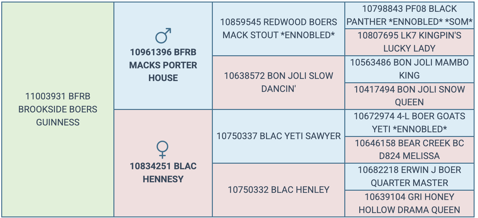 Screenshot 2026-03-24 at 8.43.55 AM