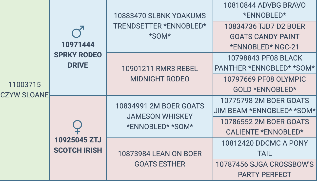 Screenshot 2026-03-24 at 8.45.53 PM