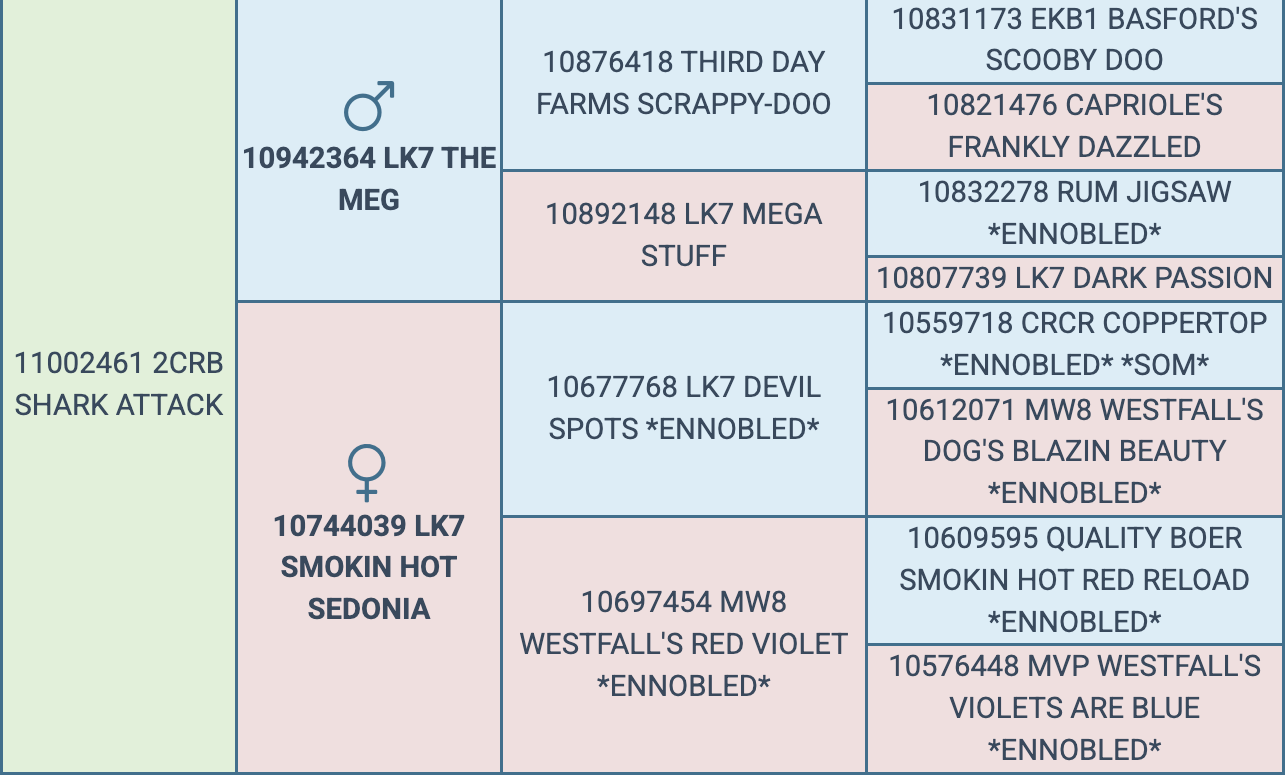 Screenshot 2026-03-24 at 8.49.59 PM