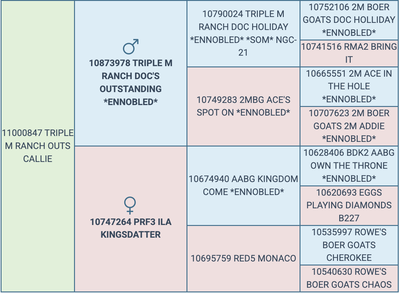 Screenshot 2026-03-24 at 8.56.13 PM