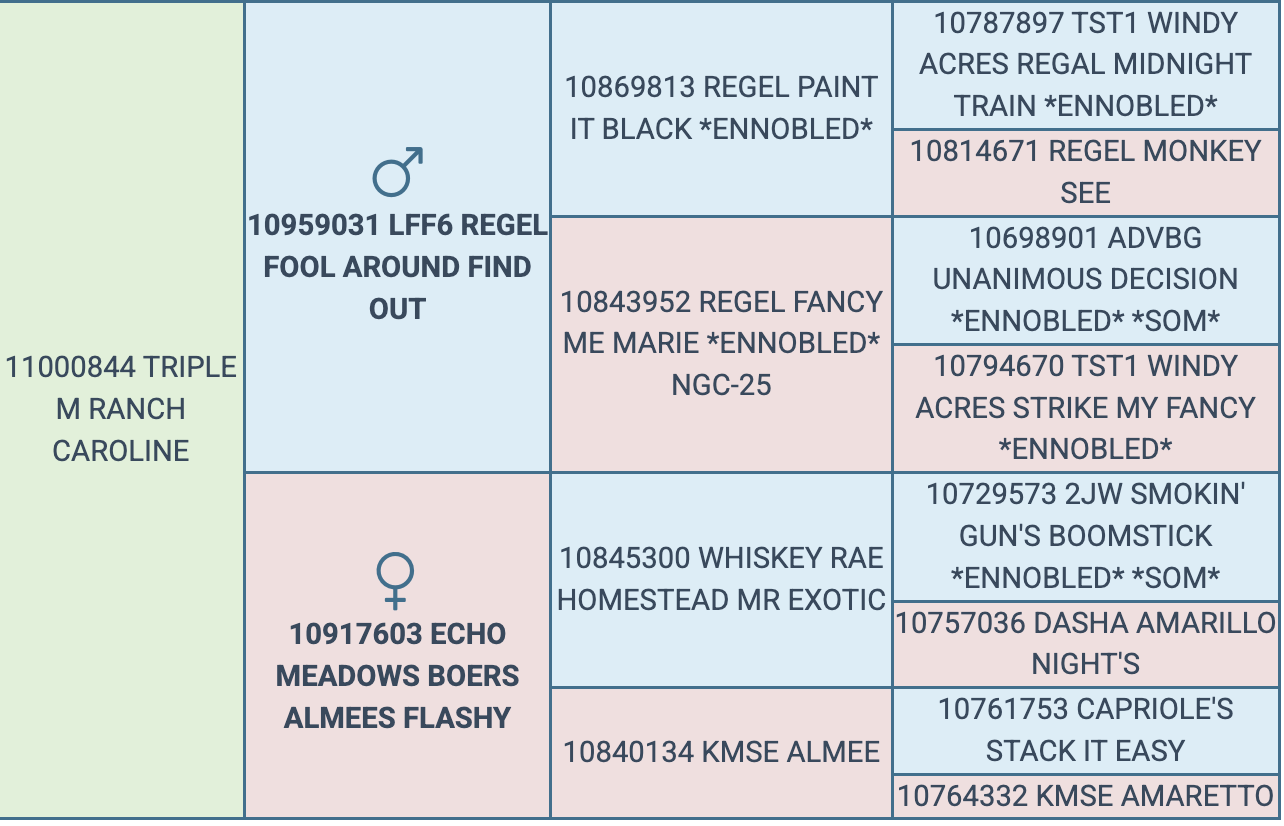 Screenshot 2026-03-24 at 8.59.10 PM