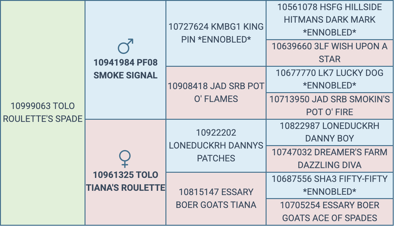 Screenshot 2026-03-24 at 9.07.24 PM