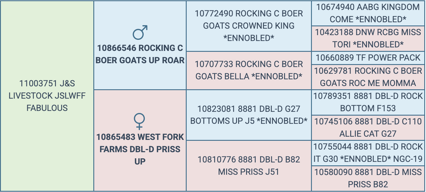 Screenshot 2026-03-25 at 7.29.10 PM