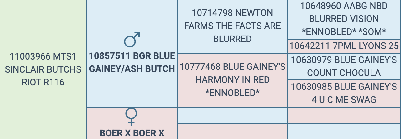 Screenshot 2026-03-25 at 7.38.04 AM