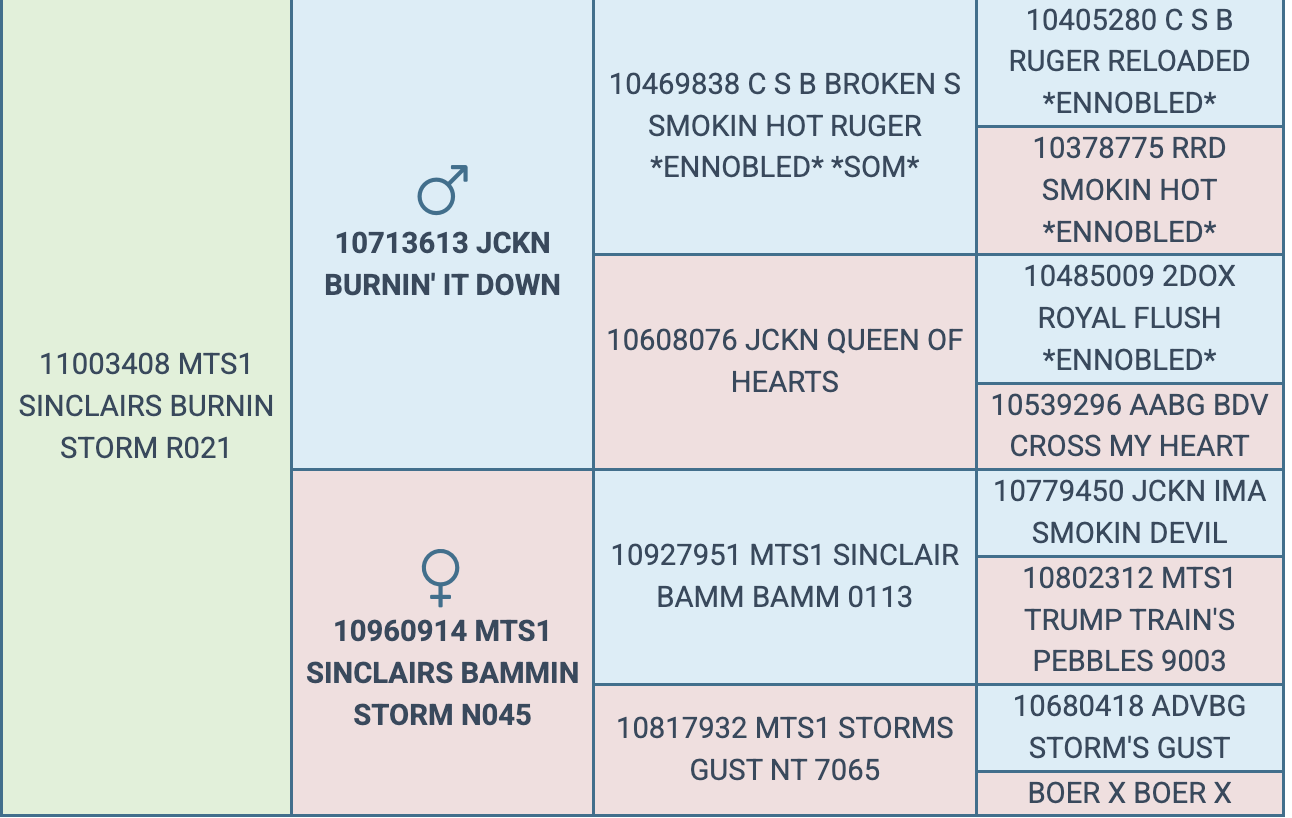 Screenshot 2026-03-25 at 7.48.53 AM