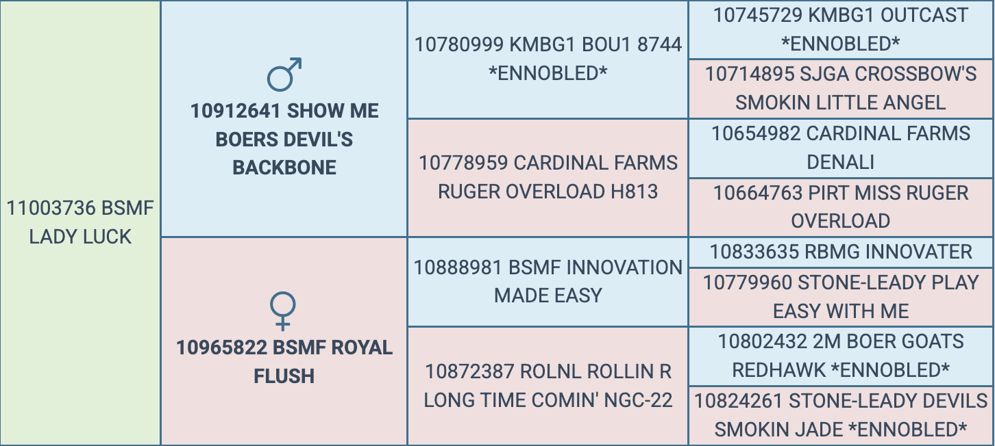 Screenshot 2026-03-25 at 7.49.20 PM