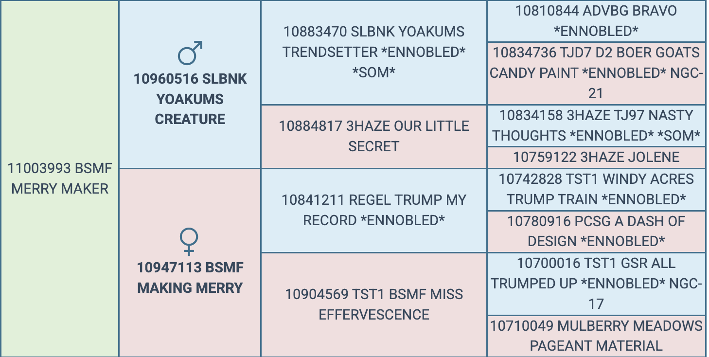 Screenshot 2026-03-25 at 7.52.07 PM