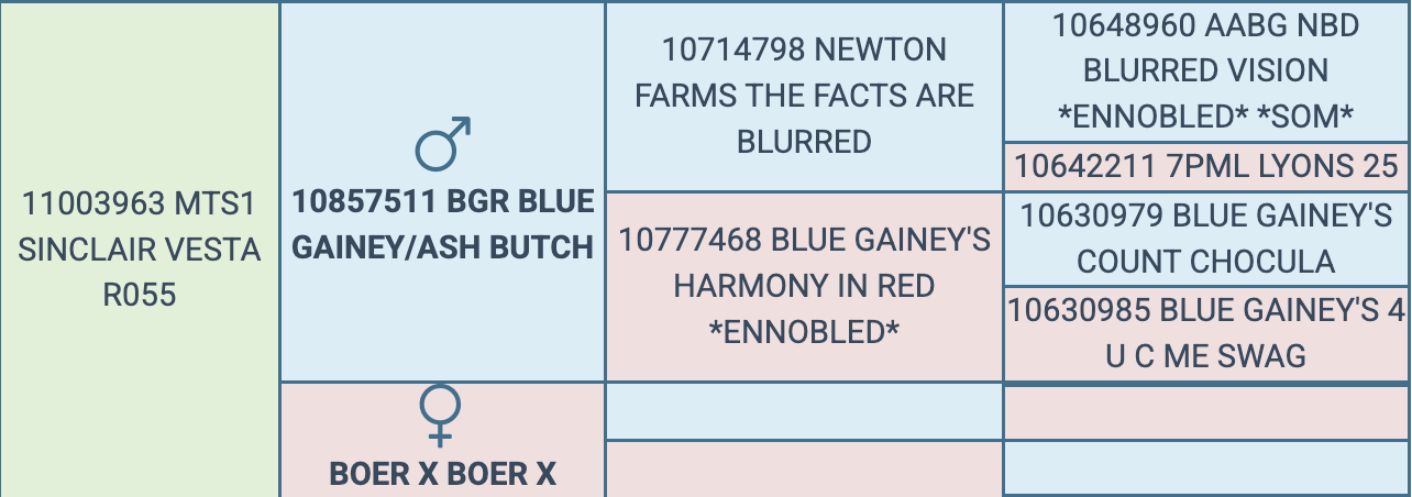 Screenshot 2026-03-25 at 7.54.53 AM