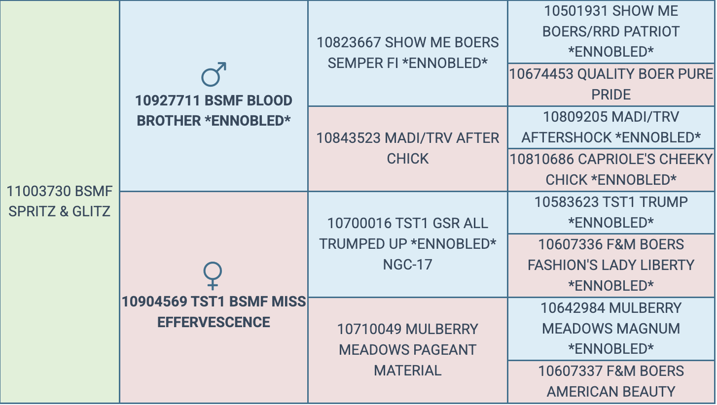 Screenshot 2026-03-25 at 7.55.39 PM