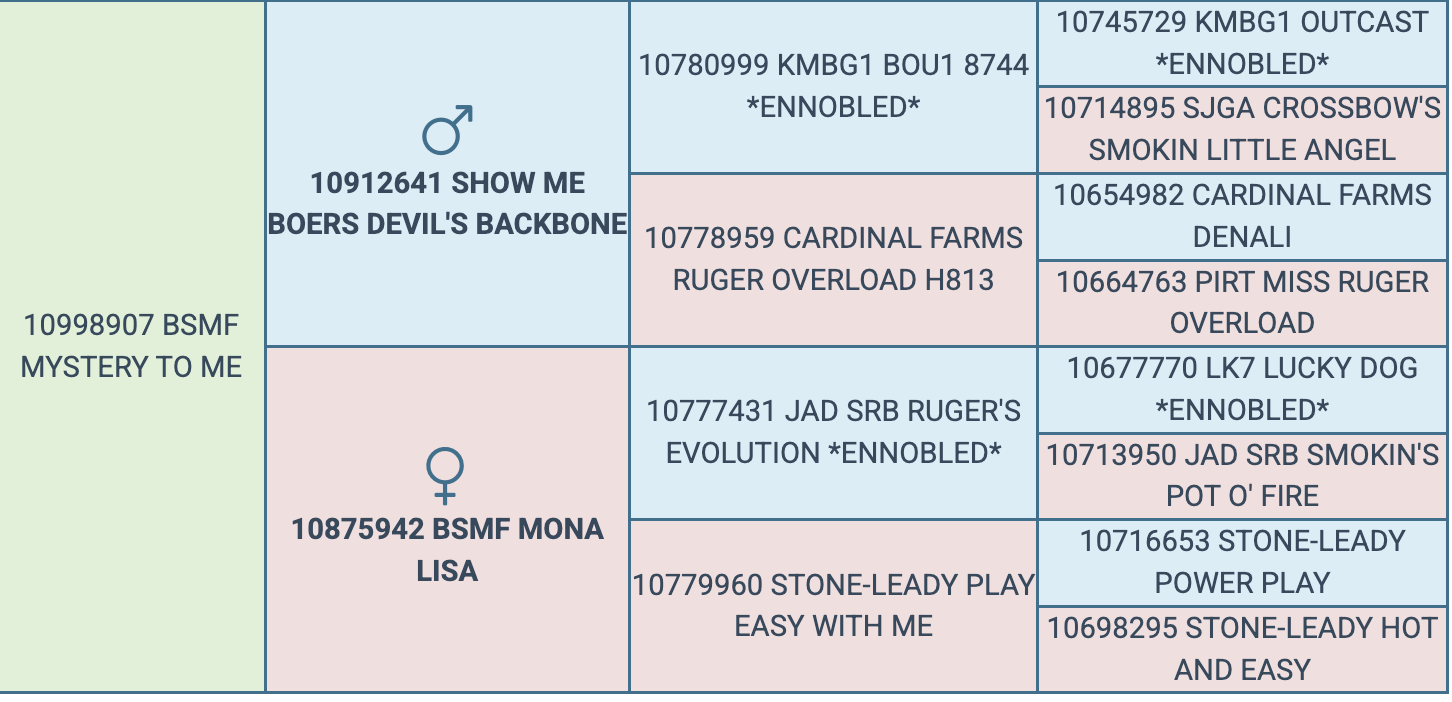 Screenshot 2026-03-25 at 7.58.09 PM