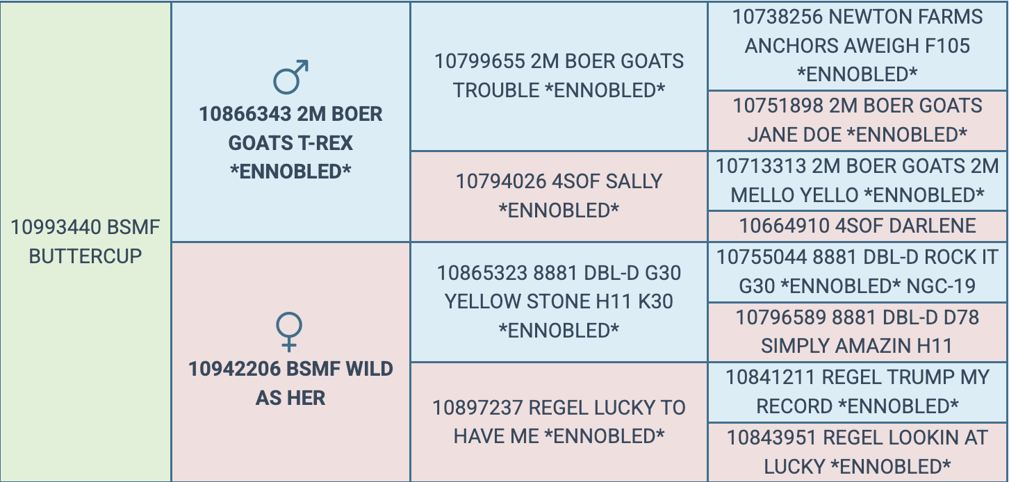 Screenshot 2026-03-25 at 8.03.09 PM