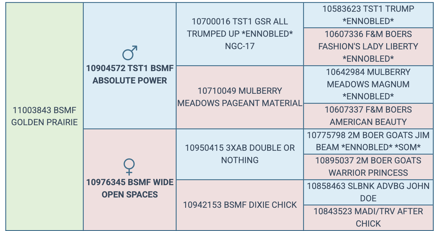 Screenshot 2026-03-25 at 8.08.39 PM