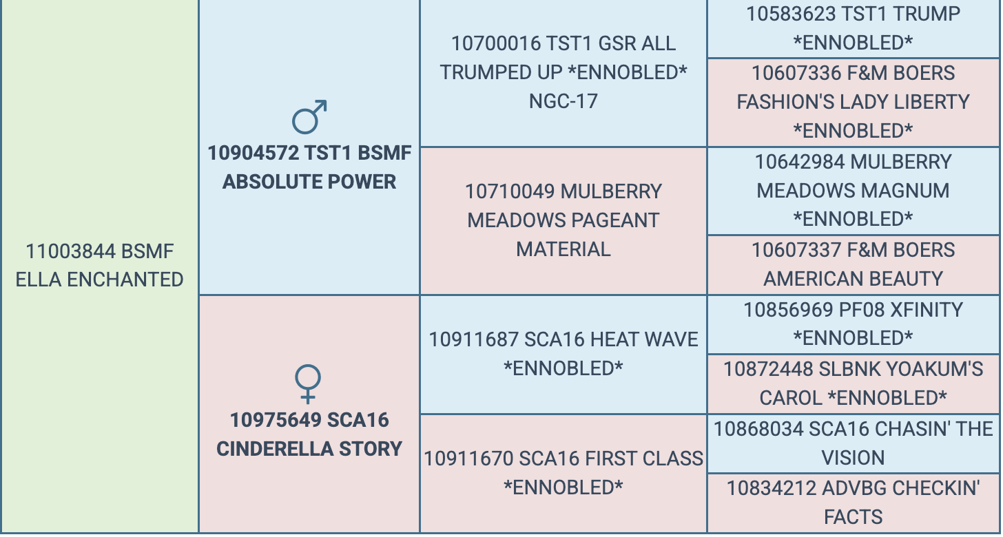 Screenshot 2026-03-25 at 8.12.45 PM