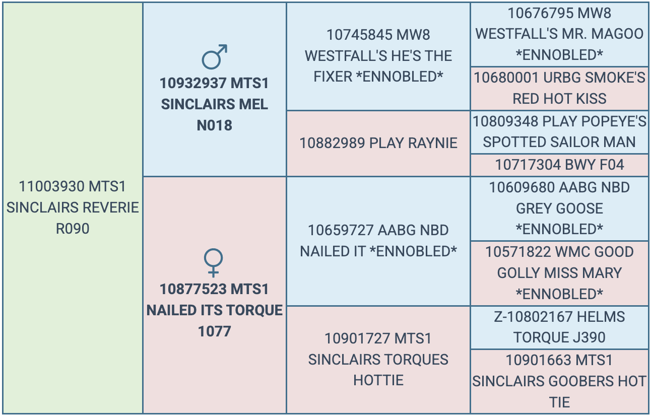 Screenshot 2026-03-25 at 8.15.31 AM