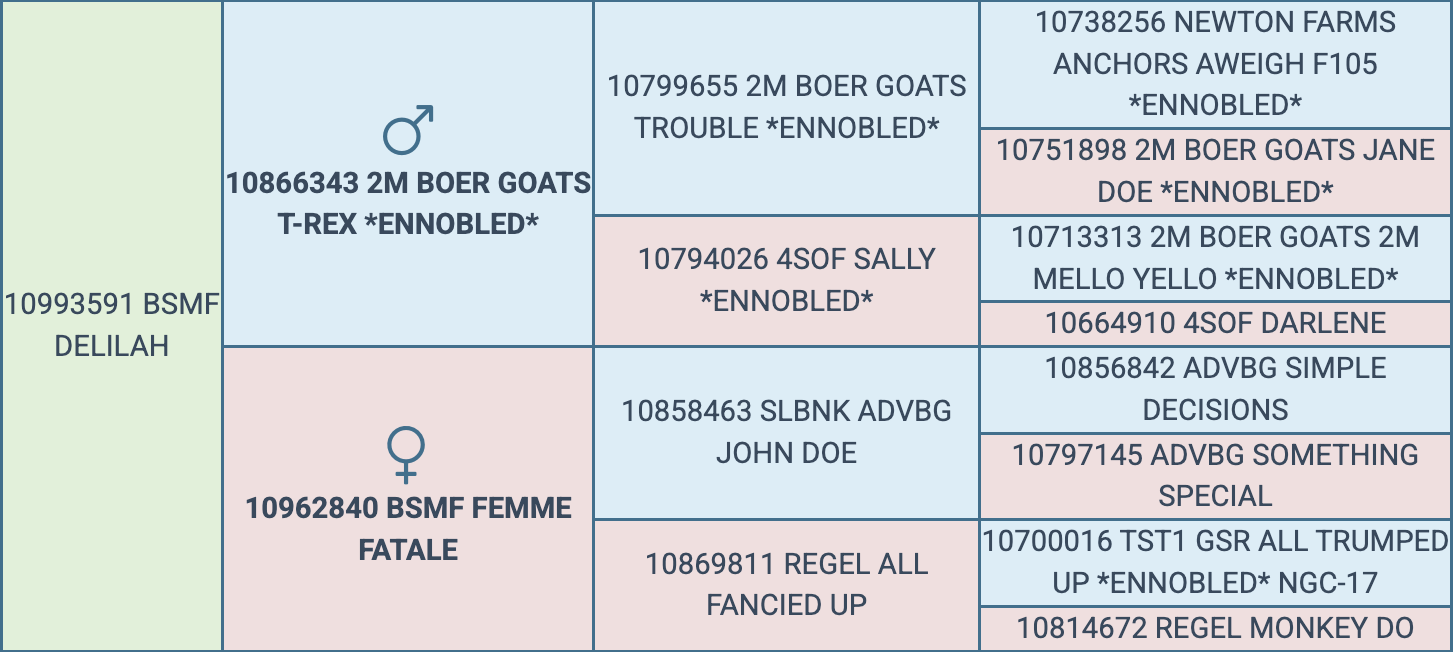 Screenshot 2026-03-25 at 8.19.52 PM