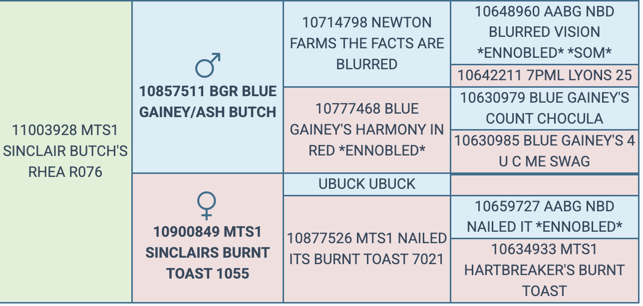 Screenshot 2026-03-25 at 8.20.50 AM