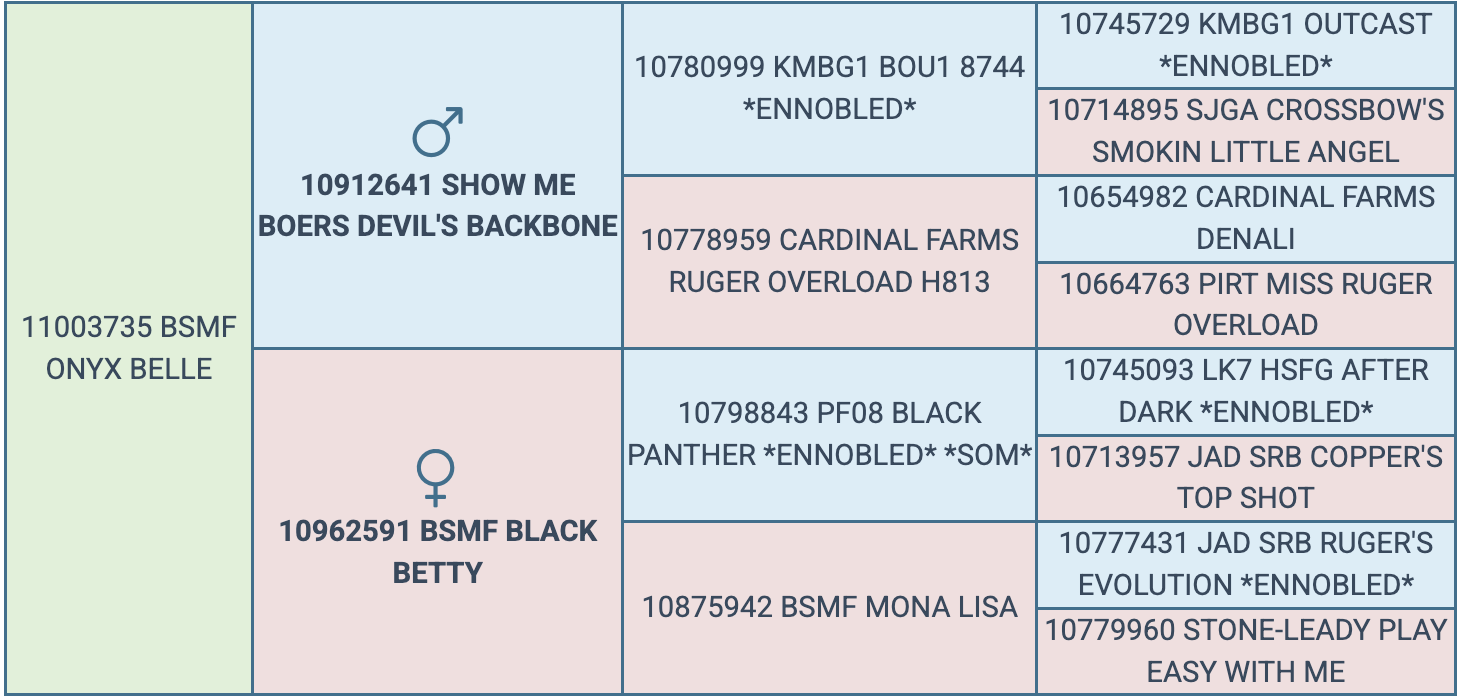 Screenshot 2026-03-25 at 8.22.53 PM