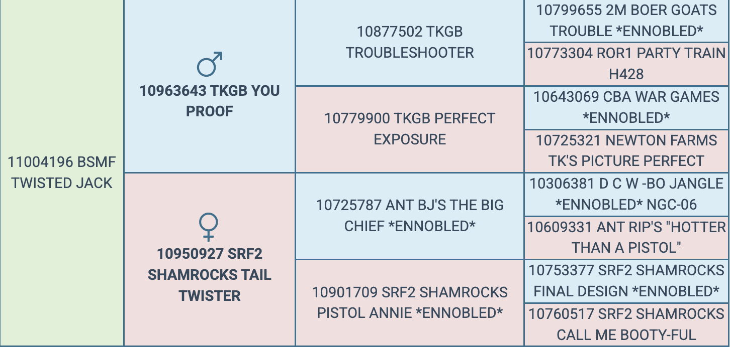 Screenshot 2026-03-25 at 8.41.04 PM