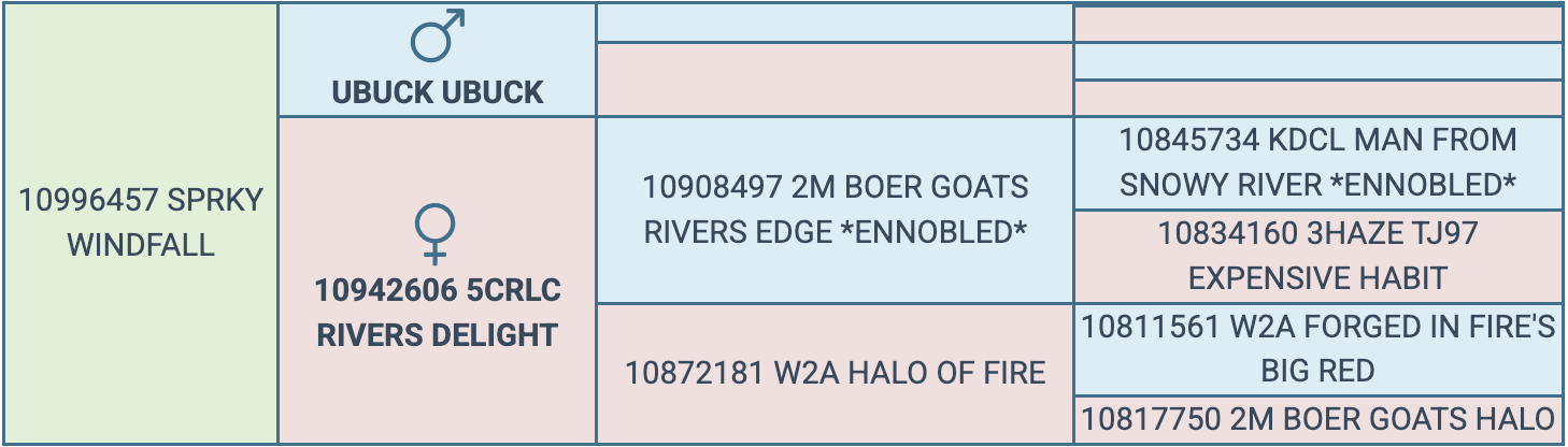 Screenshot 2026-03-25 at 8.52.38 PM