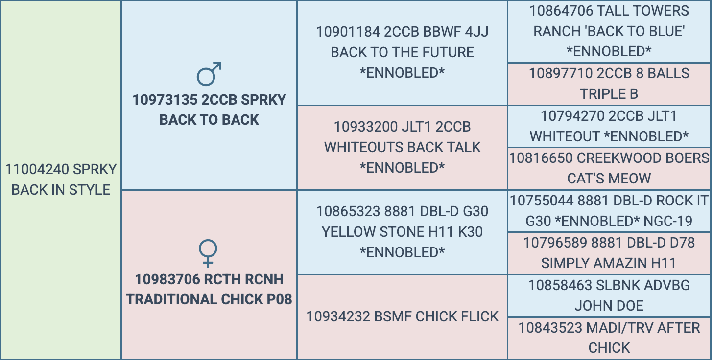 Screenshot 2026-03-25 at 8.55.37 PM