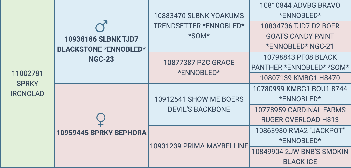 Screenshot 2026-03-25 at 8.59.17 PM