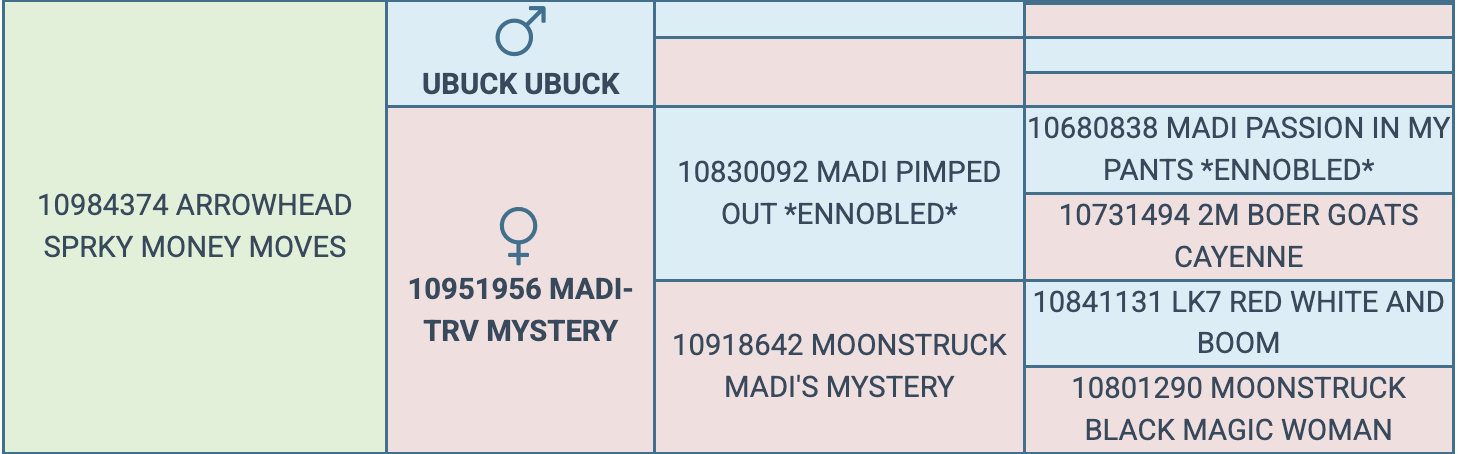 Screenshot 2026-03-25 at 9.02.57 PM