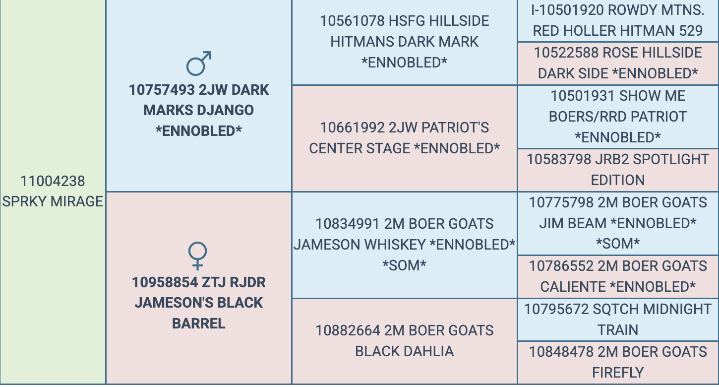 Screenshot 2026-03-25 at 9.06.14 PM