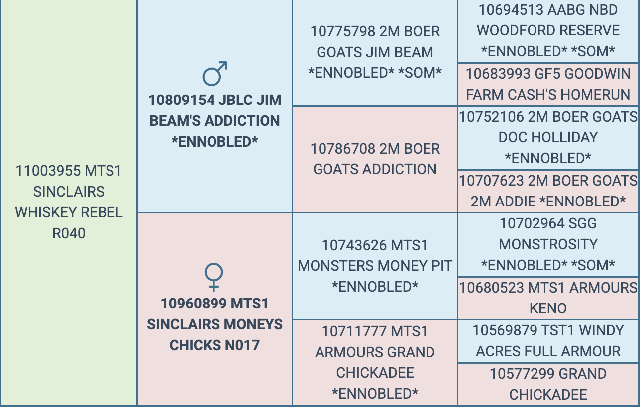 Screenshot 2026-03-25 at 9.38.38 AM