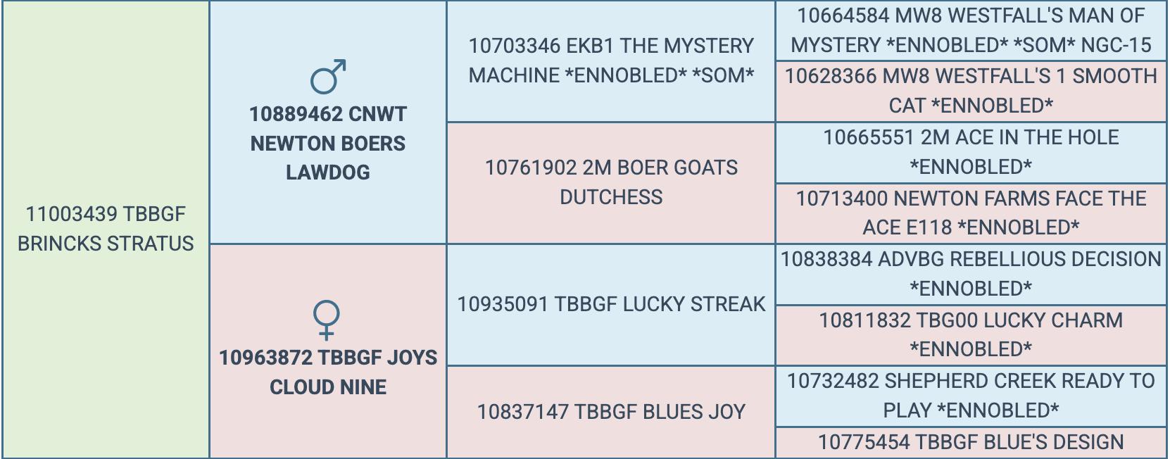 Screenshot 2026-03-26 at 6.03.06 PM