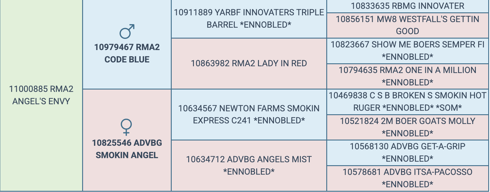 Screenshot 2026-03-26 at 6.06.05 PM